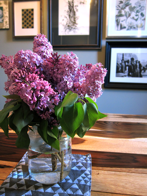 It's Lilac Season  - << joeandcheryl.com >>