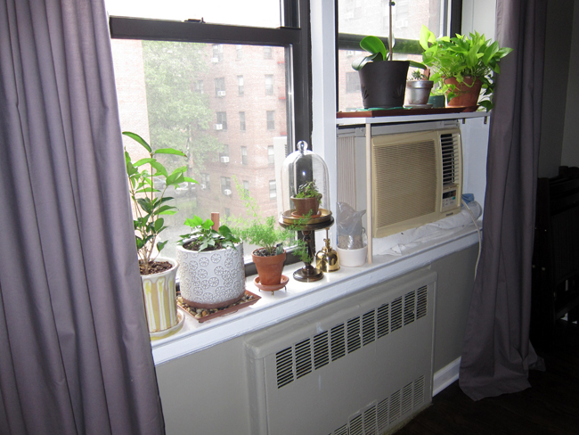 Little Window Shelf - << joeandcheryl.com >>